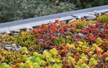 the cost of Stantway green roof installation