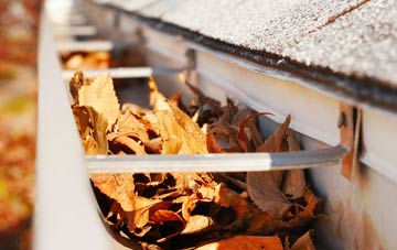 Stantway gutter cleaning companies
